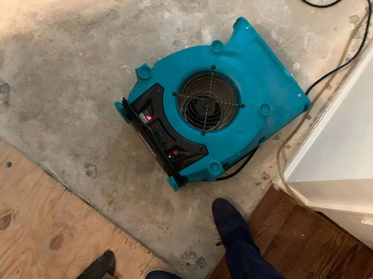 Air mover drying subfloor during Leak Detection & Repair in Westfield